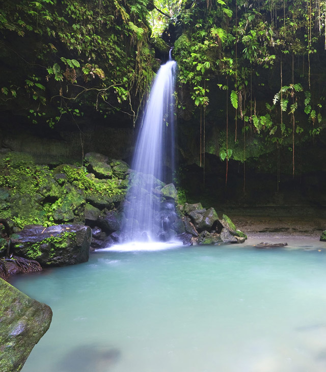 Dominica - Nature - Dreamy Weddings